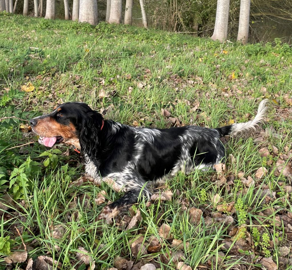 Opaline Du Domaine De Blanchou